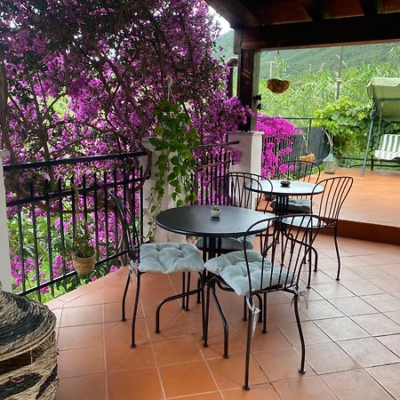 Villa Marco Aurelio Cisano sul Neva Bagian luar foto