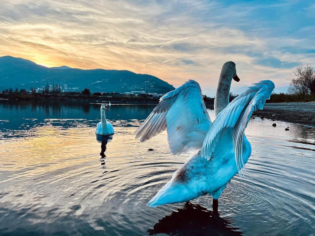 Villa Marco Aurelio Cisano sul Neva Bagian luar foto