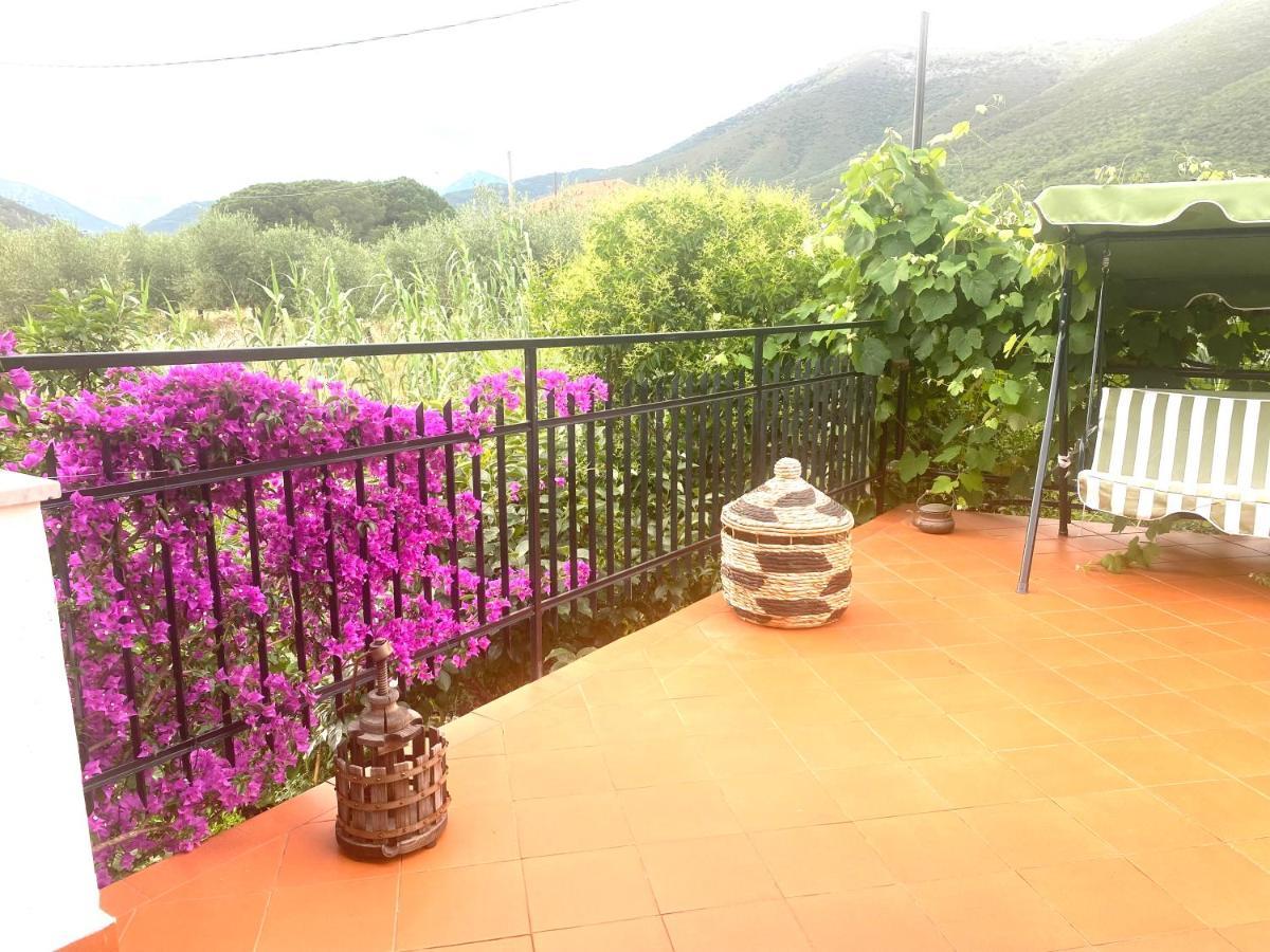 Villa Marco Aurelio Cisano sul Neva Bagian luar foto